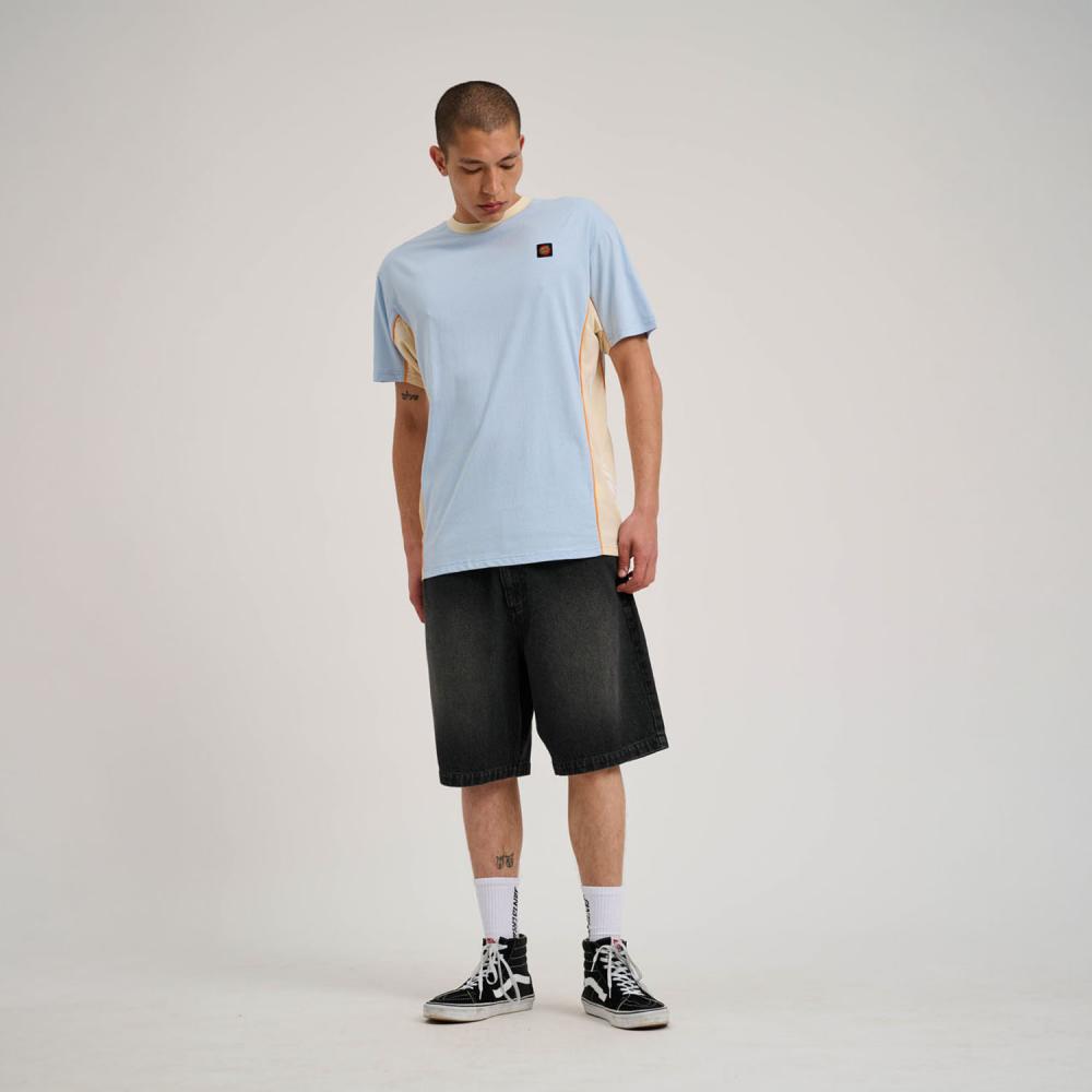 Santa Cruz T-Shirt Strip Racer T-Shirt Fresh Blue/Blond Wood
